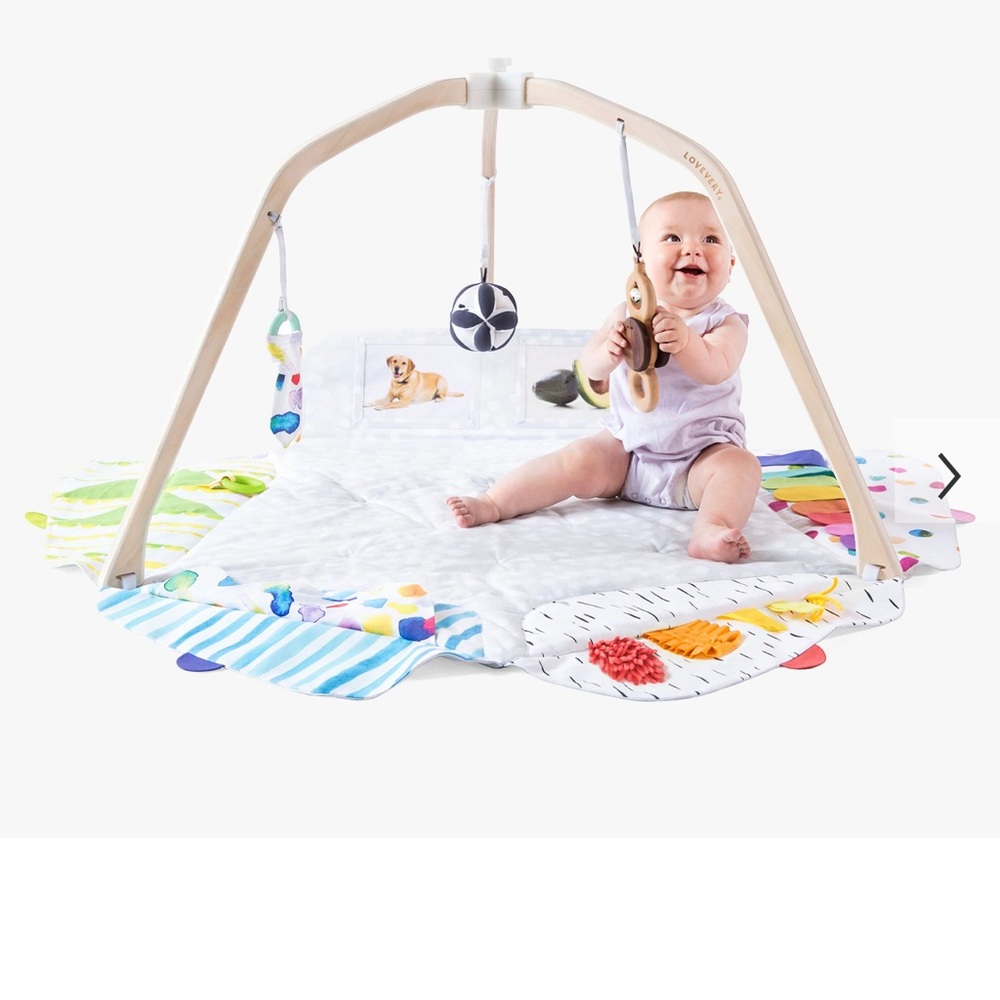 Lovevery Play Gym